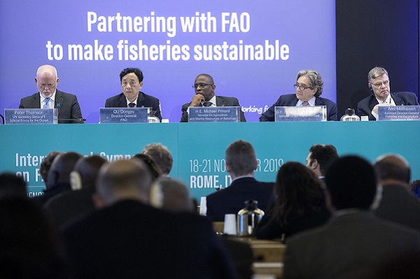 Alliance pour une pêche durable : La FAO et le Conseil italien de la recherche renforcent leurs liens à travers la plateforme iMarine