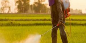 Présumé cancérigène, à la base de certaines lésions cérébrales et de troubles neurologiques : une pétition lancée contre chlorpyrifos le pire secret de l&rsquo;industrie chimique