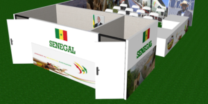 Le Sénégal à la COP 25 : les enjeux et perspectives d’un pays dont le stand ne désemplit pas