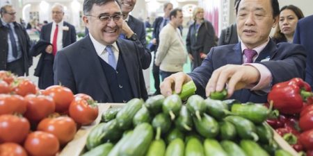 La Journée mondiale des légumineuses 2023 :   de l’Afrique subsaharienne à l’Europe et à l’Amérique latine, elles sont au cœur de la durabilité