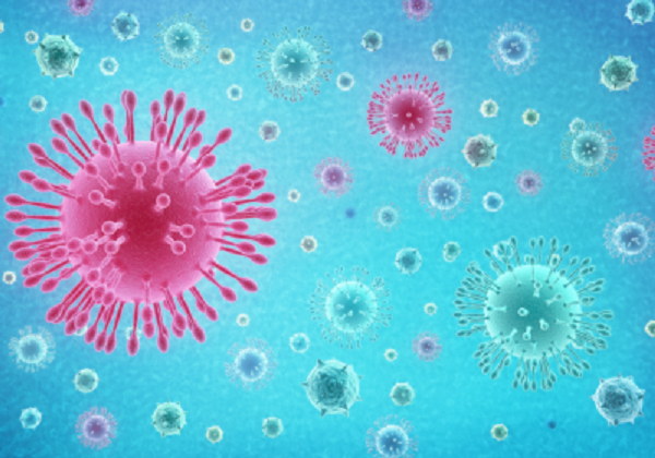 Pandémie du coronavirus : analyses des mesures prises dans le domaine des finances publiques