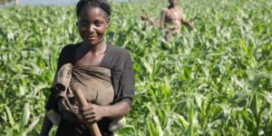 La Fao, source de Motivation : au Cameroun, les communautés se tournent vers l’agriculture et l’apiculture pour s’adapter au changement climatique