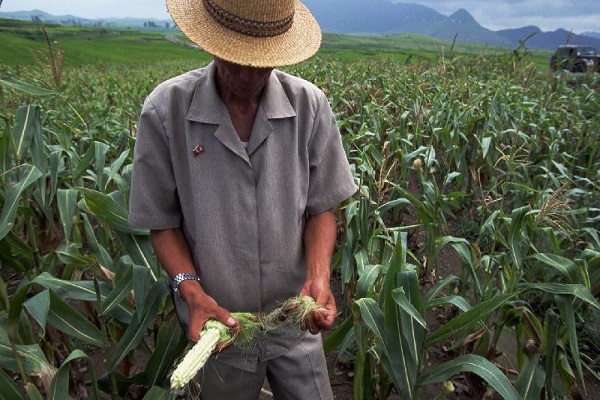 Patrimoine agricole mondial : un système agricole traditionnel du Brésil est désormais inscrit sur la liste de la FAO