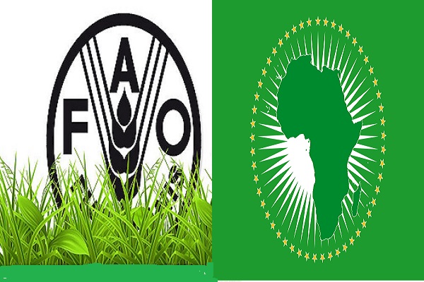 COVID-19 : une réunion ministérielle entre l’Union Africaine et la FAO annoncée pour ce Jeudi 16 avril 2020