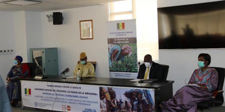 Réponse FAO au COVID-19 au Sénégal : Lancement de l’initiative « Le panier de la ménagère »