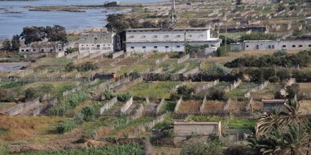 Savoir traditionnel et de la Protection de la biodiversité : les systèmes agricoles tunisiens reconnus comme faisant partie du patrimoine agricole mondial