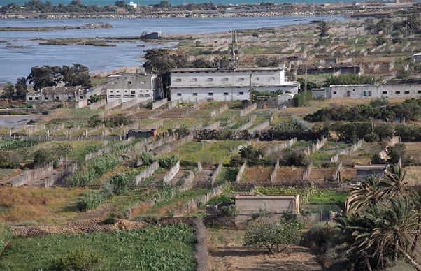 Savoir traditionnel et de la Protection de la biodiversité : les systèmes agricoles tunisiens reconnus comme faisant partie du patrimoine agricole mondial