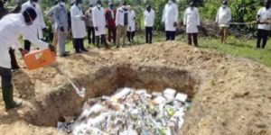 Togo : plus de 3 tonnes de faux-médicaments vétérinaires détruits à Kara