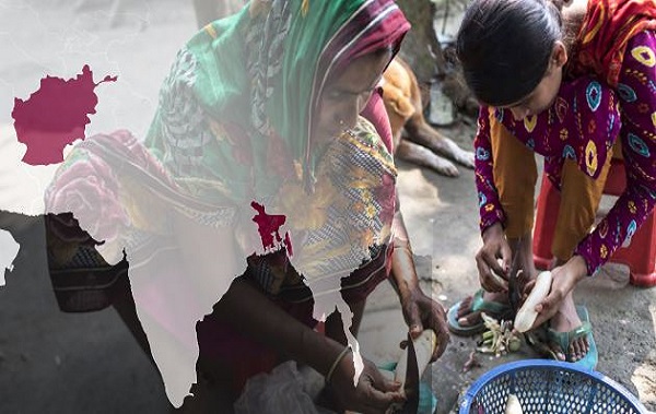 Analyse conjointe de la FAO et du PAM : les exemples de régions touchées par la faim à travers le monde