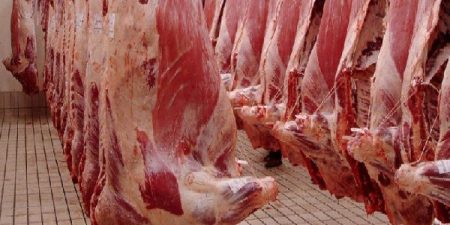 Nigéria : La Commission de la CEDEAO et la NANTS vont mettre en service un abattoir moderne intégré à petite échelle à Abuja