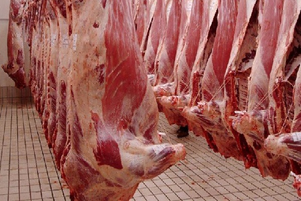 Nigéria : La Commission de la CEDEAO et la NANTS vont mettre en service un abattoir moderne intégré à petite échelle à Abuja