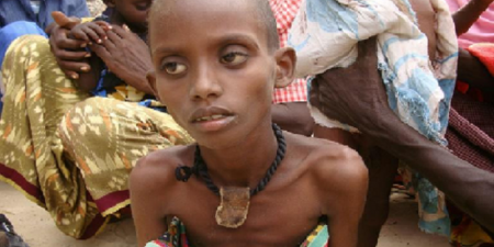 Objectifs de sécurité alimentaire d’ici 2030 : Les donateurs doivent doubler leurs investissements pour pouvoir éradiquer la faim, selon un étude de la FAO