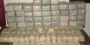 Maroc : Saisie de près d’une demie tonne de résine de cannabis