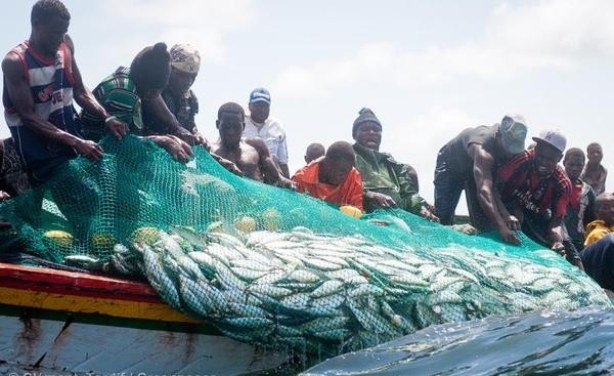 Economie : « Nous sommes préoccupés par la marginalisation de la pêche artisanale dans les stratégies d’économie bleue de nos pays » (CAOPA)