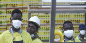 Emploi et questions sociales dans le monde : L’OIT revoit à la baisse ses prévisions de reprise du marché du travail pour 2022