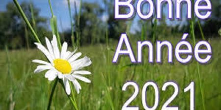 Bonne année à tous !!!!