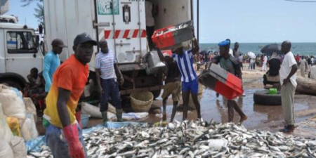 Kaolack- Blocage des véhicules frigorifiques mauritaniens: colère inouïe des mareyeurs