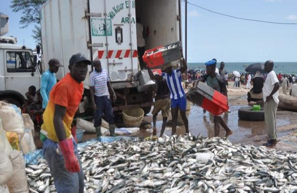 Kaolack- Blocage des véhicules frigorifiques mauritaniens: colère inouïe des mareyeurs