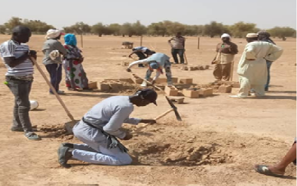 Régénération des écosystèmes du Sahel: le REDES amplifie son action sur le terrain