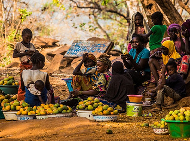 Afrique de l’Ouest :  Trois domaines d’intervention prioritaires destinés à une alimentation durable, suffisante, abordable et nutritive de la population