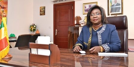 RENCONTRE AVEC LA CHAMBRE AFRICAINE DE L’ENERGIE : Le ministère du pétrole, Petrosen et Cos-Pétrogaz présentent la stratégie nationale  gazière