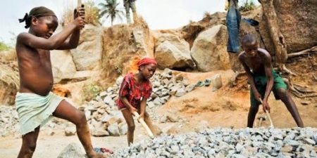 Etude de la FAO : Repenser l’agriculture en Afrique pour éradiquer le travail des enfants
