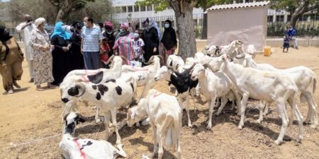 RECRUDESCENCE DES CAS DE COVID-19 : Le Conseil national des Marocains au Sénégal du Sénégal appelle au respect des mesures barrières