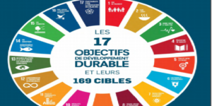 Enda ECOPOP-Rapport « Sénégal et ODD16 : quel bilan d’étape après 05 ans ? » : la question de l’effectivité des engagements demeure