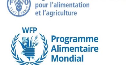 Insécurité alimentaire aiguë dans 23 foyers de famine : la FAO et le PAM tirent la sonnette d’alarme