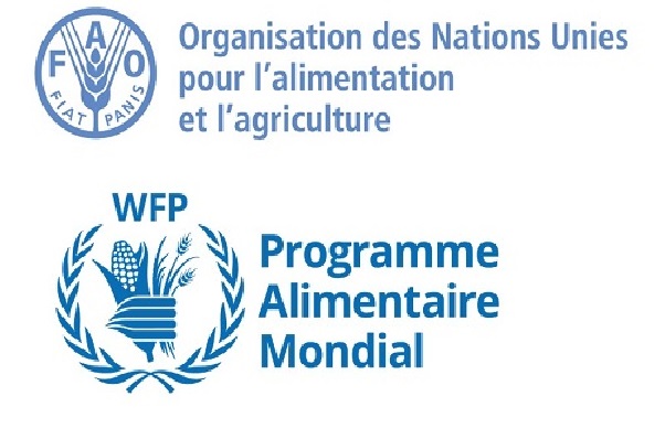 Insécurité alimentaire aiguë dans 23 foyers de famine : la FAO et le PAM tirent la sonnette d’alarme