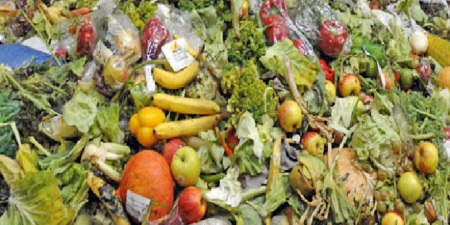 Thiès – conséquence de la cherté de la vie sur le bétail : Le «niamou mbam» (aliment récupéré) devenu introuvable