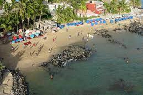 Alerte santé sur la plage de Ngor : Des chercheurs découvrent des microalgues toxiques
