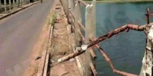 Reconstruction des ponts de la région de Ziguinchor : Le mouvement Doyna secoue le gouvernement