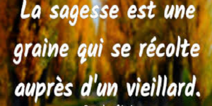 Les exigences de la maturité