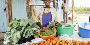 Menace d’une reprise inégale : un système de l’ONU et l’OIT va  créer 400 millions d’emplois et étendre la couverture sociale à 4 milliards de personnes