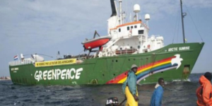 Nouvelles usines de farine et d’huile de poisson : Greenpeace Afrique et les  pêcheurs du Sénégal condamnent leur implantation