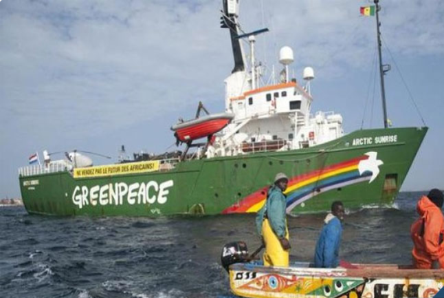 Nouvelles usines de farine et d’huile de poisson : Greenpeace Afrique et les  pêcheurs du Sénégal condamnent leur implantation