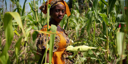 Agriculture : La CEDEAO, le CILSS et le CORAF lancent le Programme ouest africain de Résilience des Systèmes Alimentaires (FSRP)