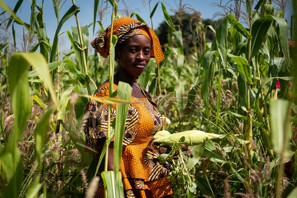 Conférence des Nations Unies : si la biodiversité disparaît, la lutte contre les changements climatiques ou la faim est perdue, prévient le FIDA