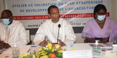 PLAN STRATEGIQUE DE DEVELOPPEMENT DE L’AQUACULTURE 2022-2026 : 35 milliards pour développer le secteur
