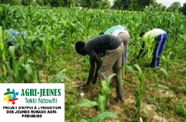 Systèmes agroalimentaires en Afrique : La FAO et la Commission de l’Union africaine lancent des directives d’investissement pour les jeunes