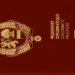 Passeports diplomatiques : la mafia au sommet de l’Etat (Seybani Sougou)