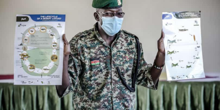 Fao-Actualité et Médias : Devenir des héros de la lutte contre le criquet pèlerin