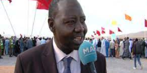 Webinaire « La Nouvelle Ère de la Coopération sino-africaine » : La RSE, une préoccupation croissante pour les entreprises chinoises en Afrique