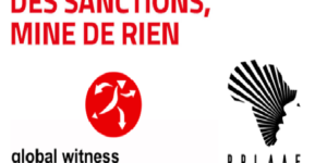 Procédures baillons contre les ONG : Afriland First Bank et consorts aux abois