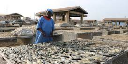 Transformation de poisson à Rufisque : Immersion dans l’univers féminin du domaine du « kétiax »