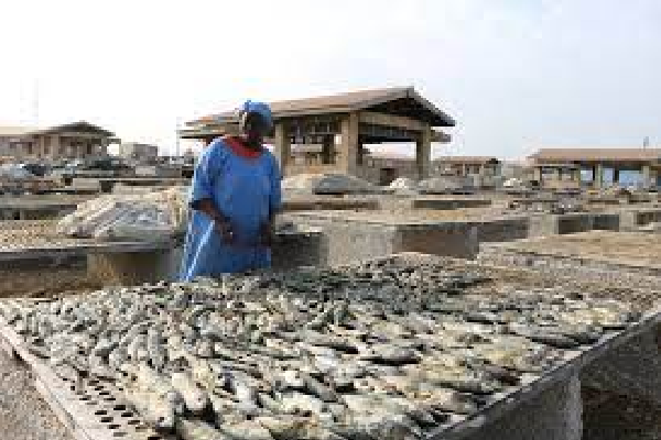 Transformation de poisson à Rufisque : Immersion dans l’univers féminin du domaine du « kétiax »
