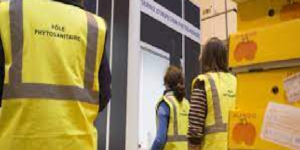 Kaffrine : l’absence d’un poste de contrôle phytosanitaire déplorée