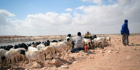 Somalie : De nouvelles données montrent comment la sécheresse dans la Corne de l’Afrique accroît la faim aiguë