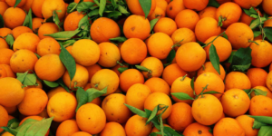 Exportation : La Russie bloque 40 000 tonnes d’oranges égyptiennes pour défaut de conformité phytosanitaire